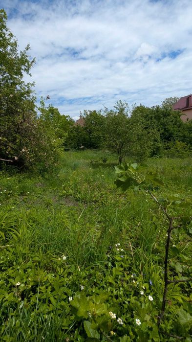 Продаж земельної ділянки Лезневе 5,7 соток