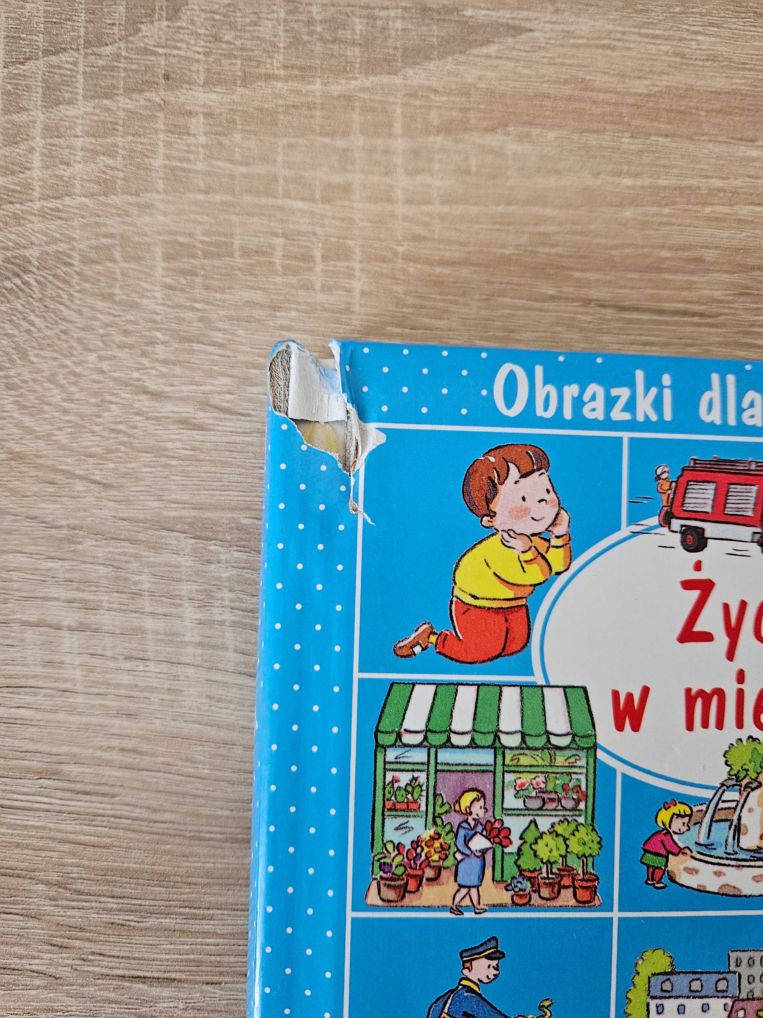 Zestaw 17 wyjątkowych książek dla maluszka, OKAZJA!