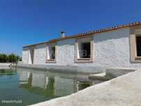 Quinta T5 / Fundão, Enxames