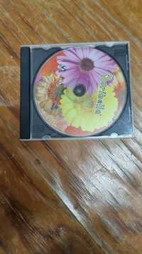 Cd Floribella número 1