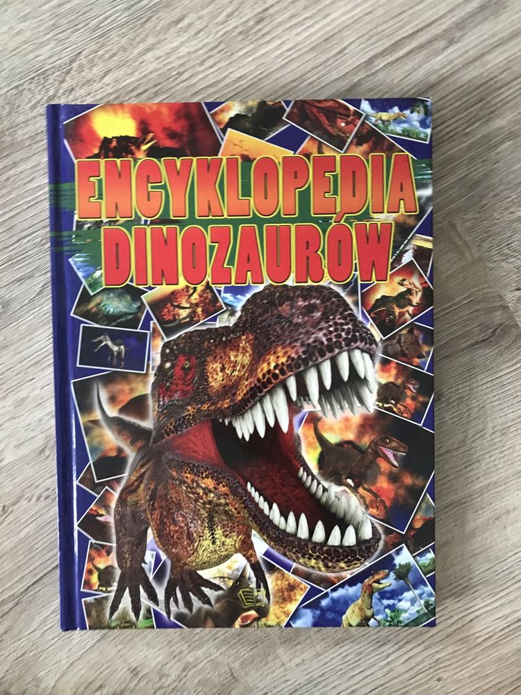 ksiazka dla dzieci dinozaury A4