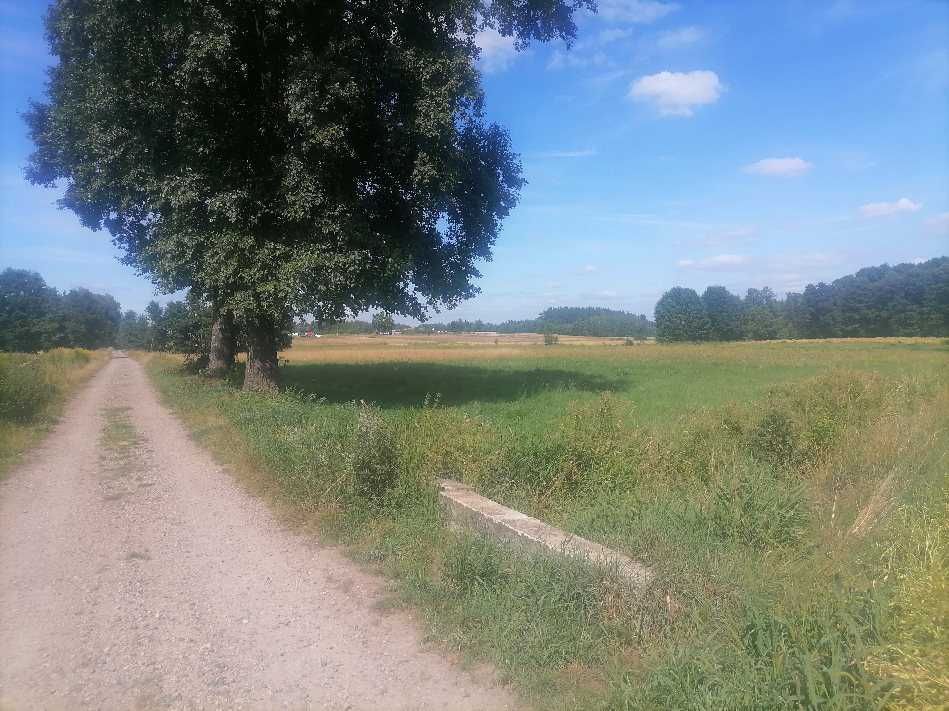 Działka 986 m2 Młodocin Większy k/ Radomia