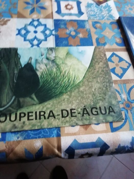 O porquê de conservar e a toupeira