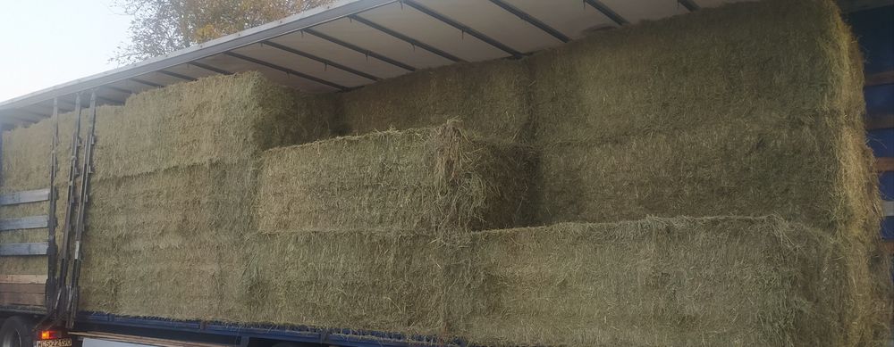 Sprzedam siano w kostkach
