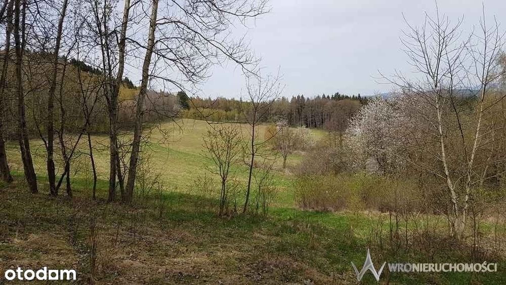 Działka | atrakcyjna | las | piękne widoki