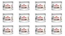 12x Royal Canin RECOVERY 195g NOWA karma weterynaryjna dla kotów/psów