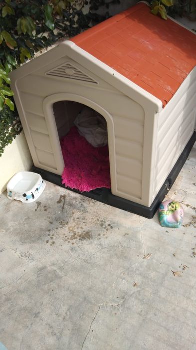Casota de cão em bom estado
