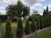 Działka ROD Poziomka w Bełchatowie