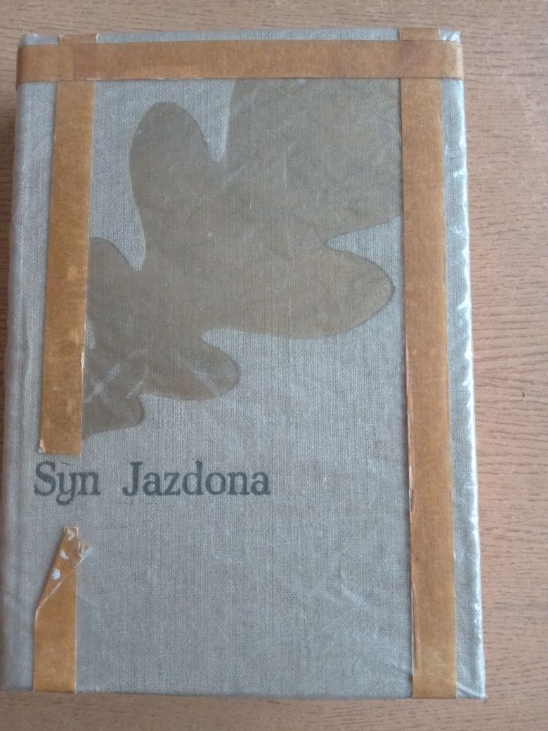 Syn Jazdona - powieść historyczna