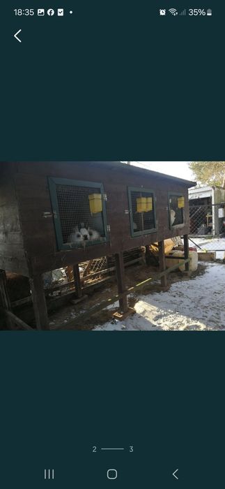 Klatki dla królików