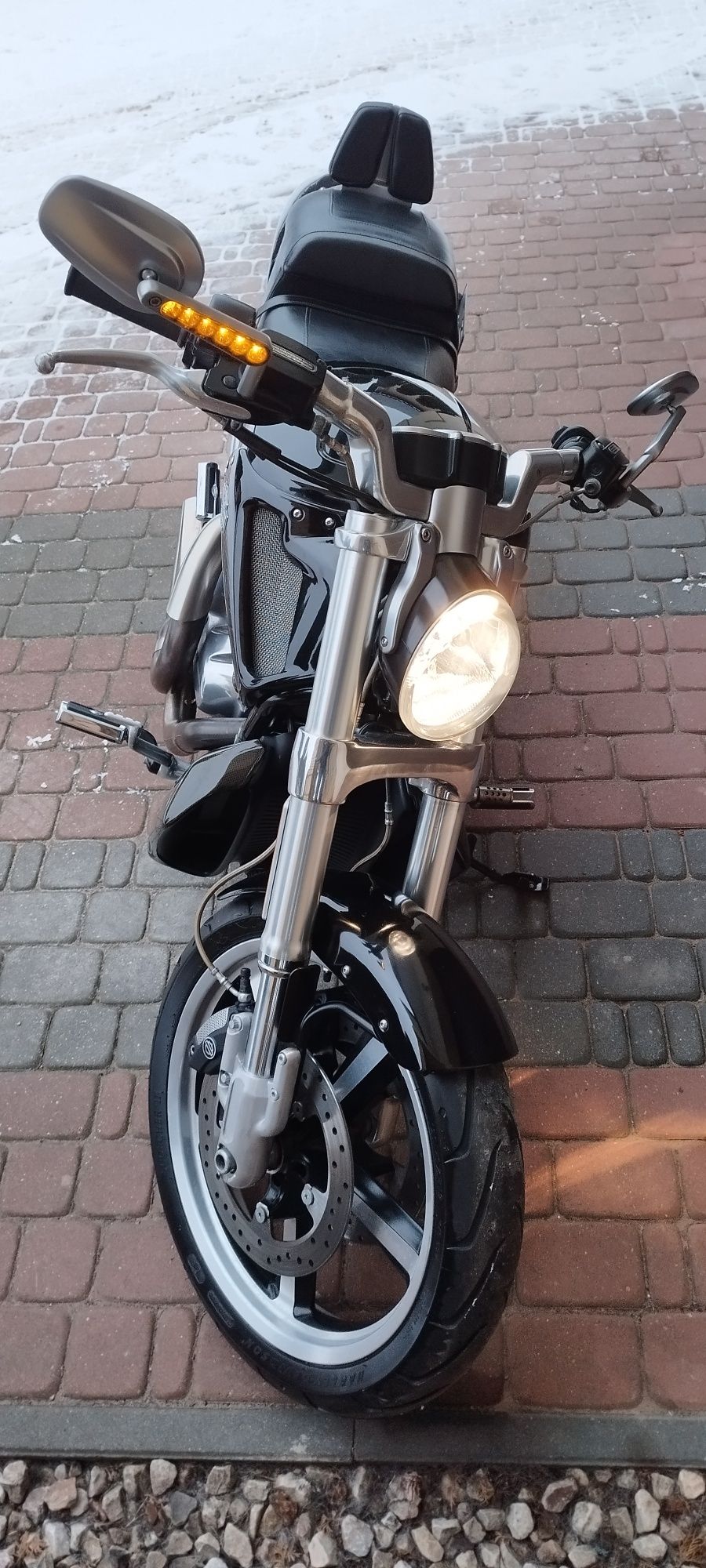 Harley-Davidson vrod muscle night rod
