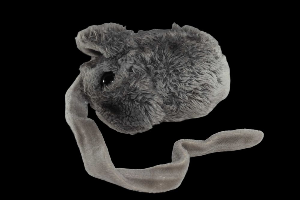 pluszowa myszka z długim ogonem zabawka maskotka