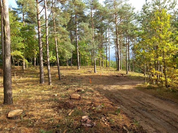 Działka rekreacyjna  niedaleko jeziora , możliwa budowa domu