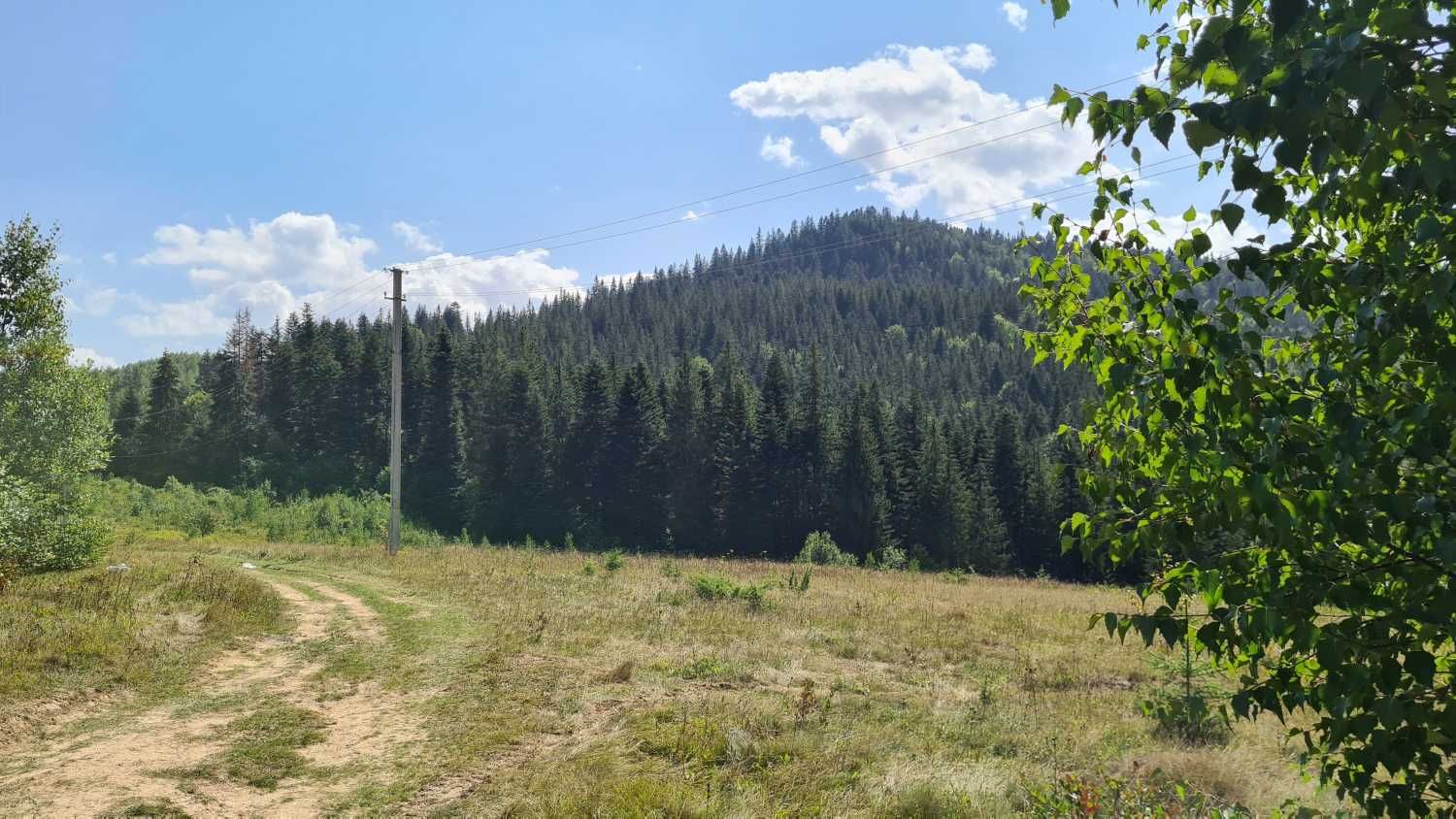 Продам земельну ділянку у селі Микуличин - 1,4 га