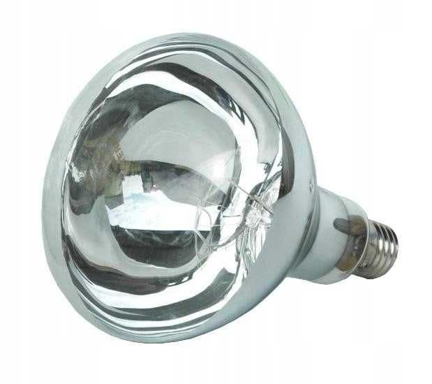 Żarówka promiennika Kerbl 250 W biała do ogrzewania świń kurcząt