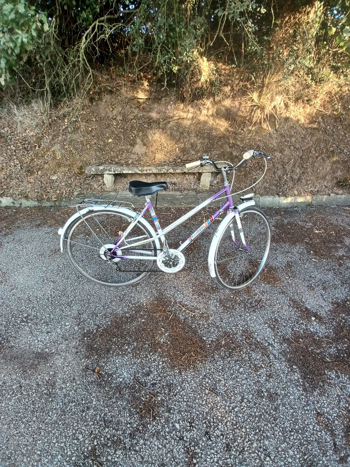 Bicicleta Janette