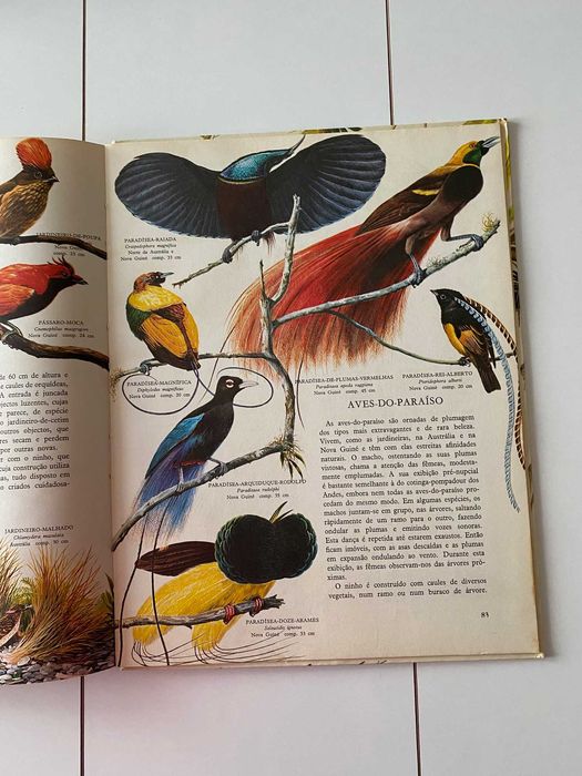 O Grande Livro das Aves 1970 (ctt grátis)