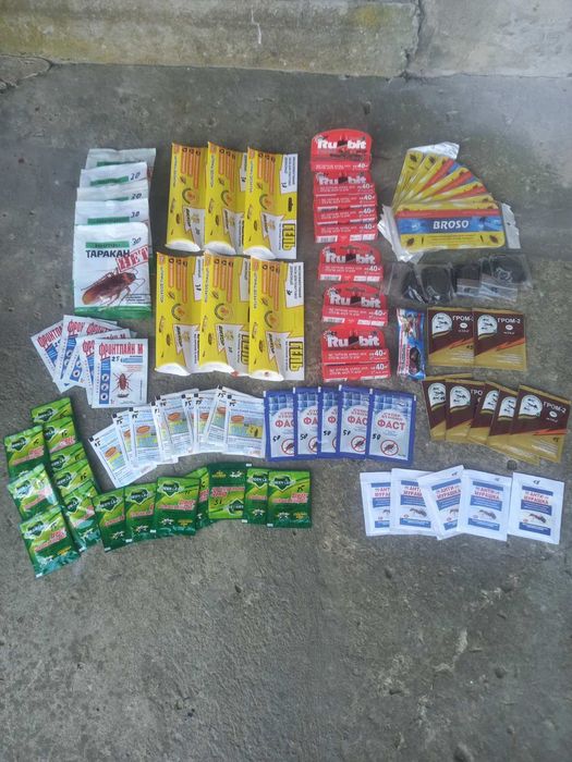 Від тараканів і мурах .