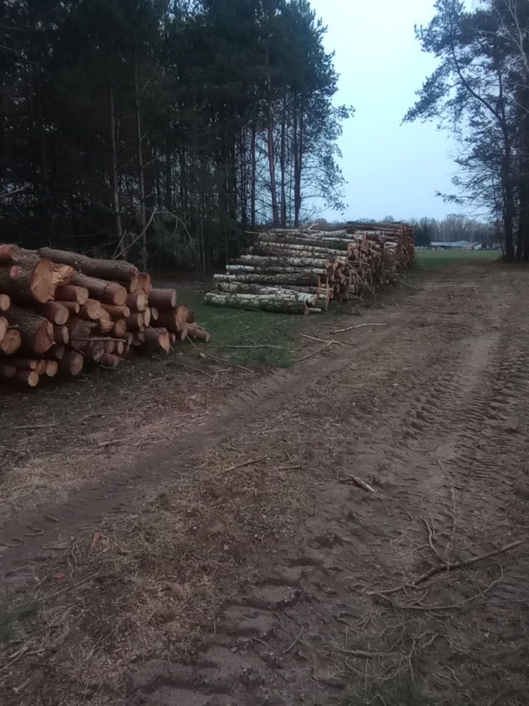 Drewno w wałkach