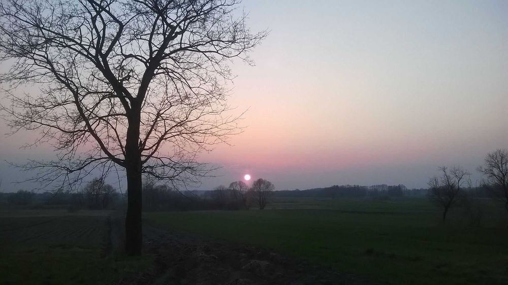 Działka na sprzedaż – Haliczany, gm. Kamień (18 km od Chełma)