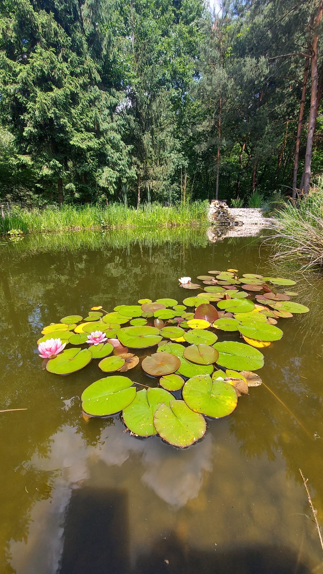 Agroturystyka. Wynajmę pokoje.
