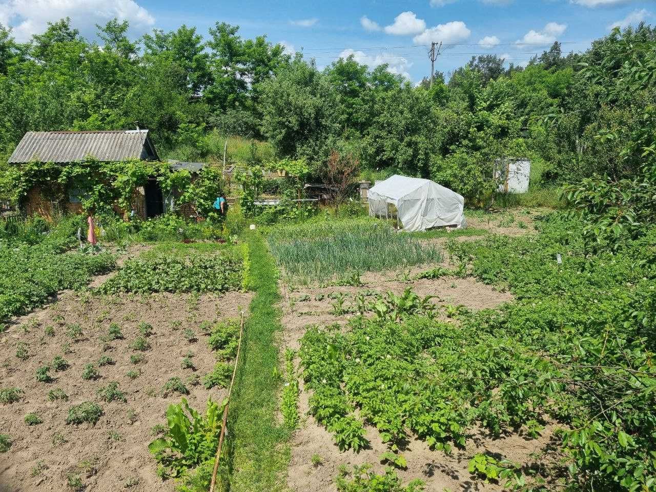 Продам дачу на ст.Подусівка.