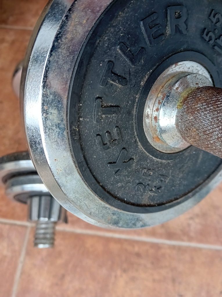 Halteres musculação de rosca