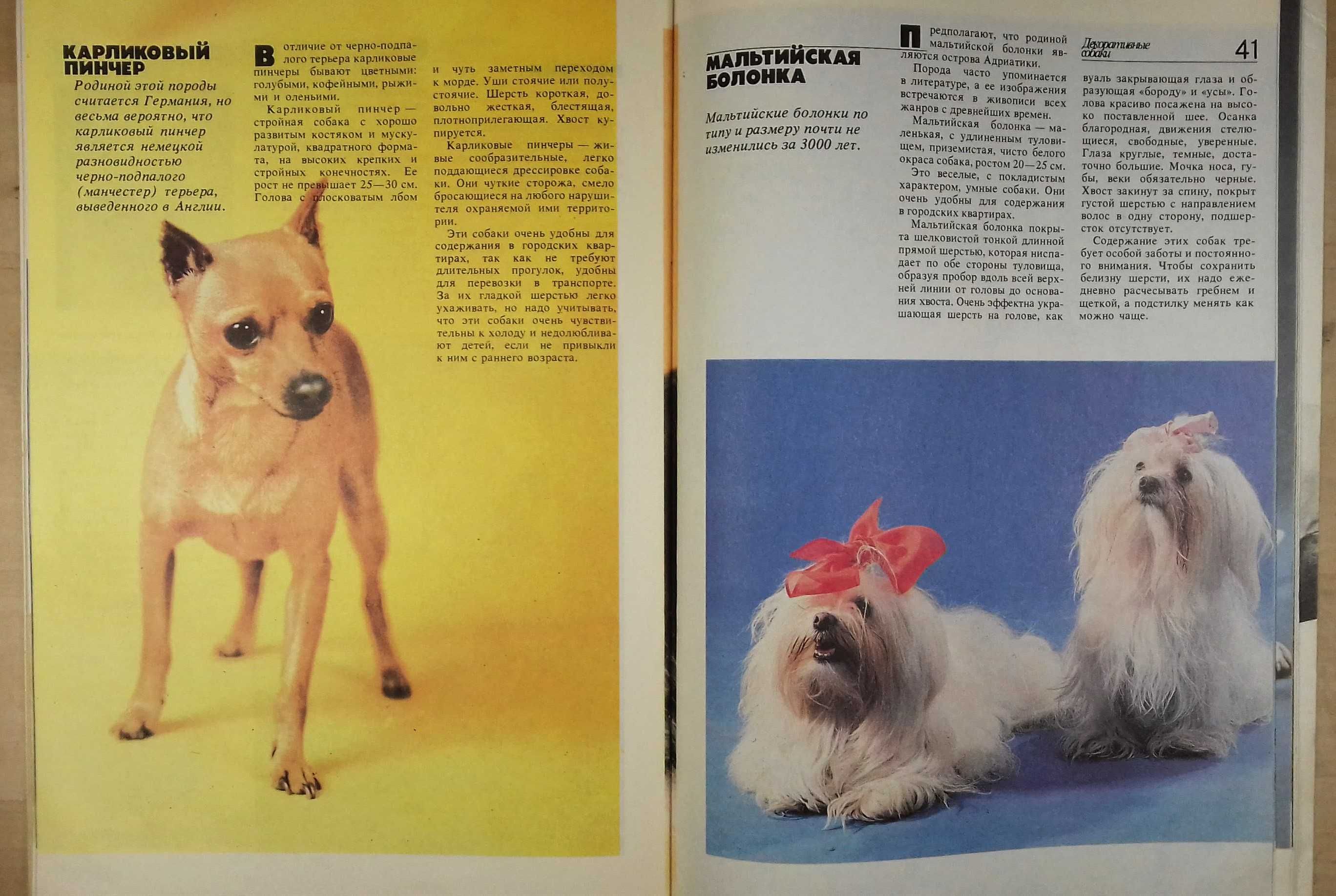 Книга-Альбом Т.Н.Никулина, Ж.А.Чеснокова "Декоративные собаки" 1989