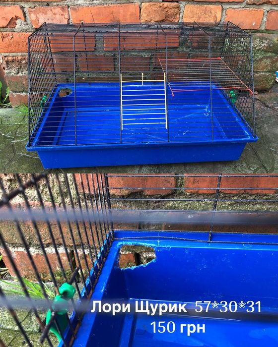 Две клетки Лори Щурик.