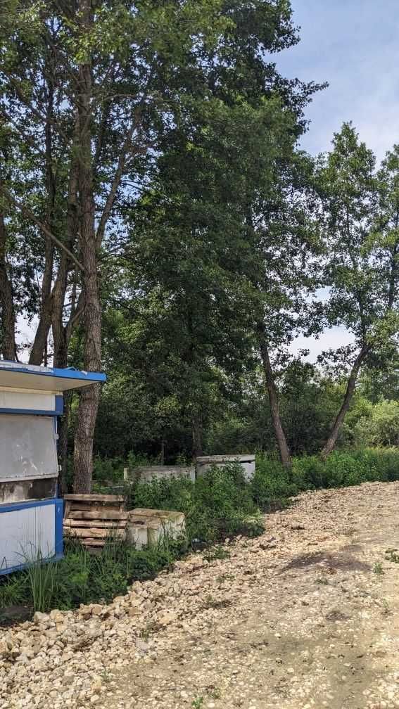 Продаж мальовничої земельної ділянки під забудову, біля озера Шутер