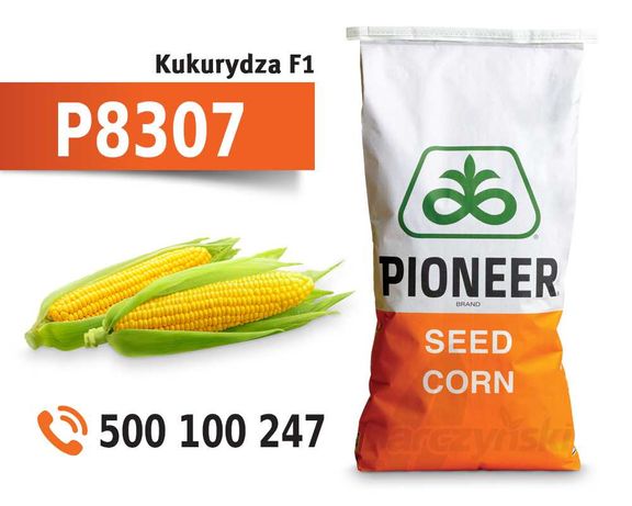 P8307 - materiał siewny kukurydzy Pioneer - dostawa GRATIS