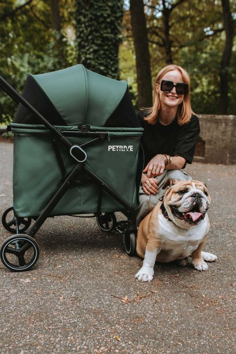 Wózek dla psa kilku kotów B.RIDER do 30kg PETRIVE spacerówka dla psa