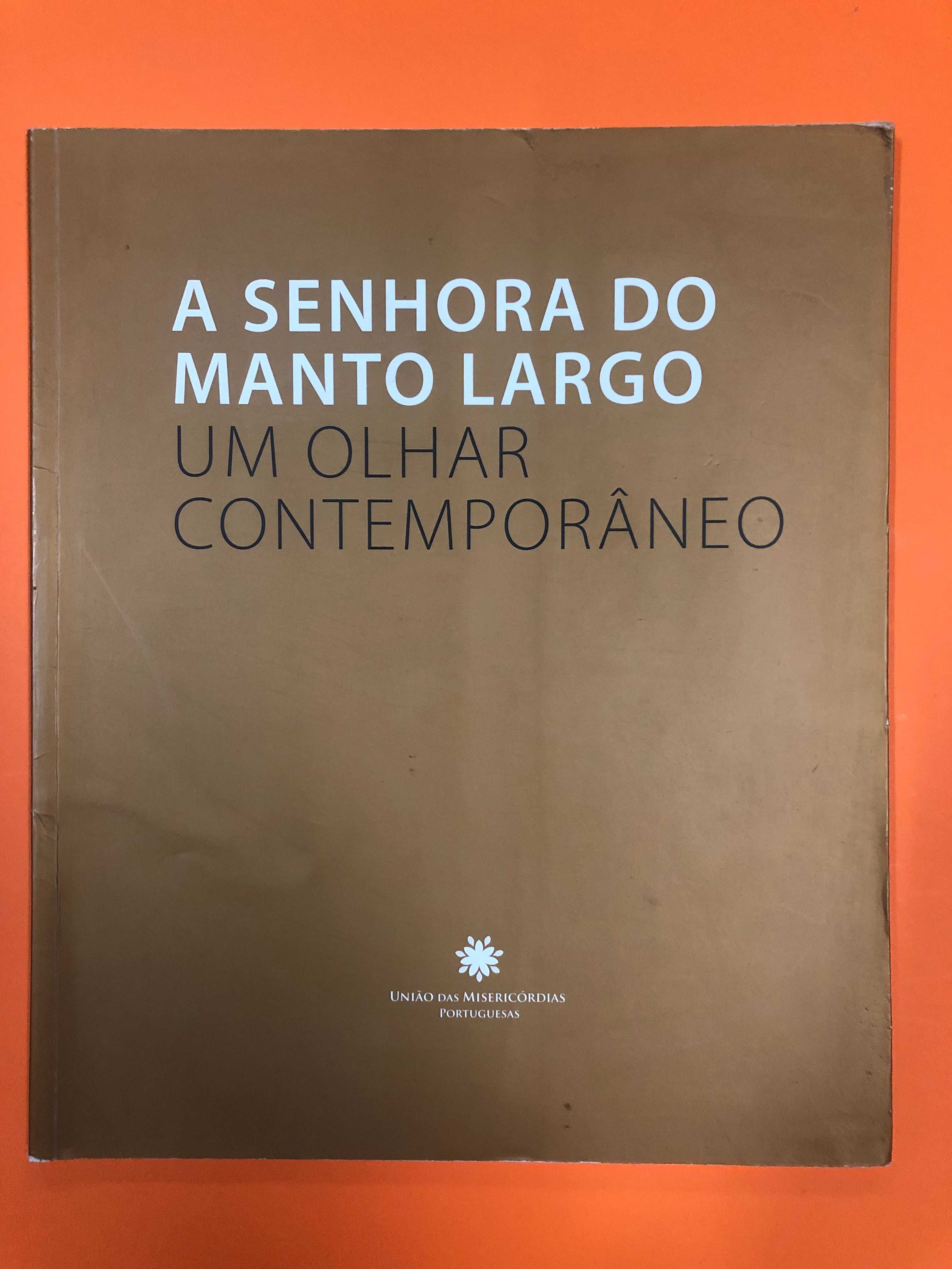 Pintura: A senhora do manto largo – Um olhar contemporâneo