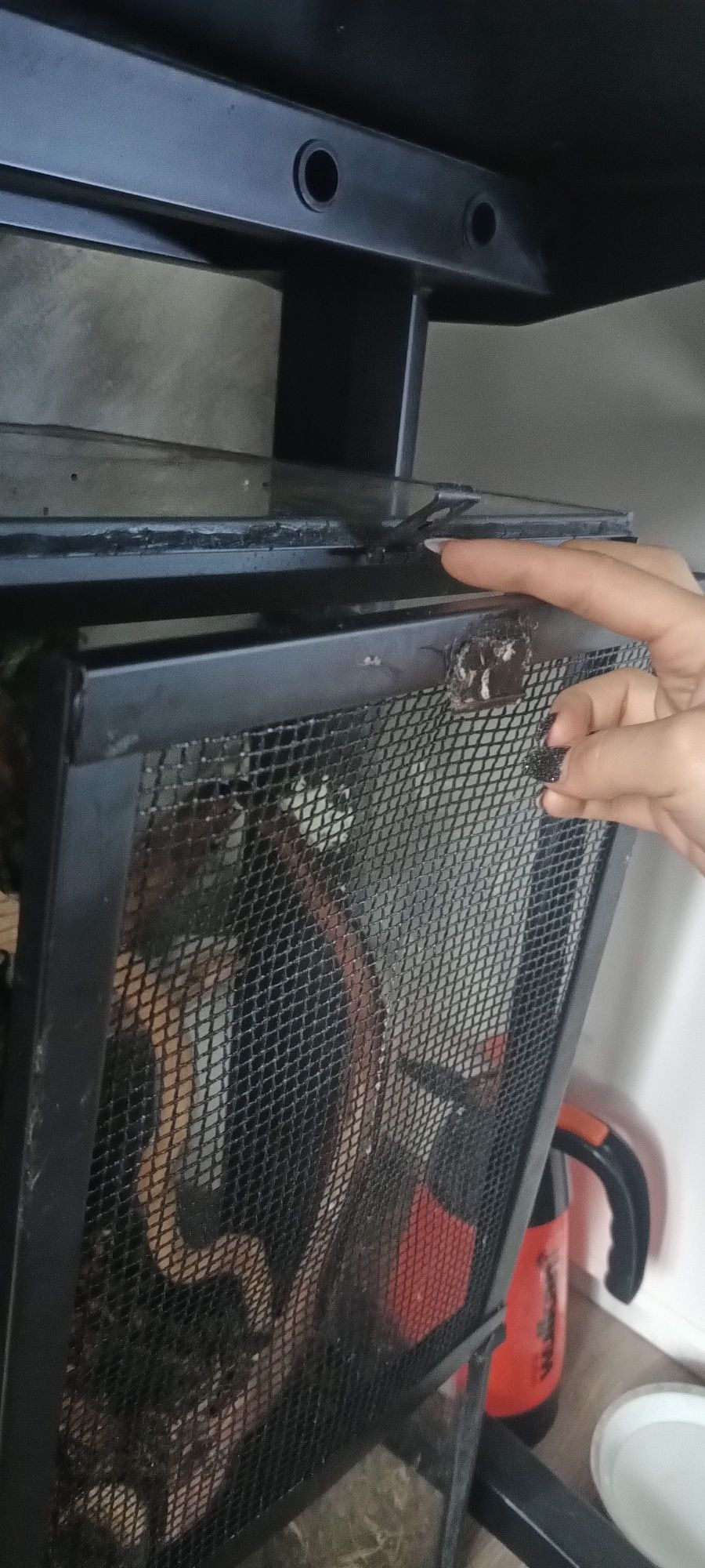 Terarium dla gekona etc.