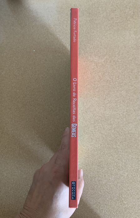 Livro de receitas das Gémeas Enid Blyton
