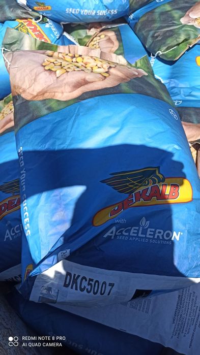 Продам сімена кукурудзи