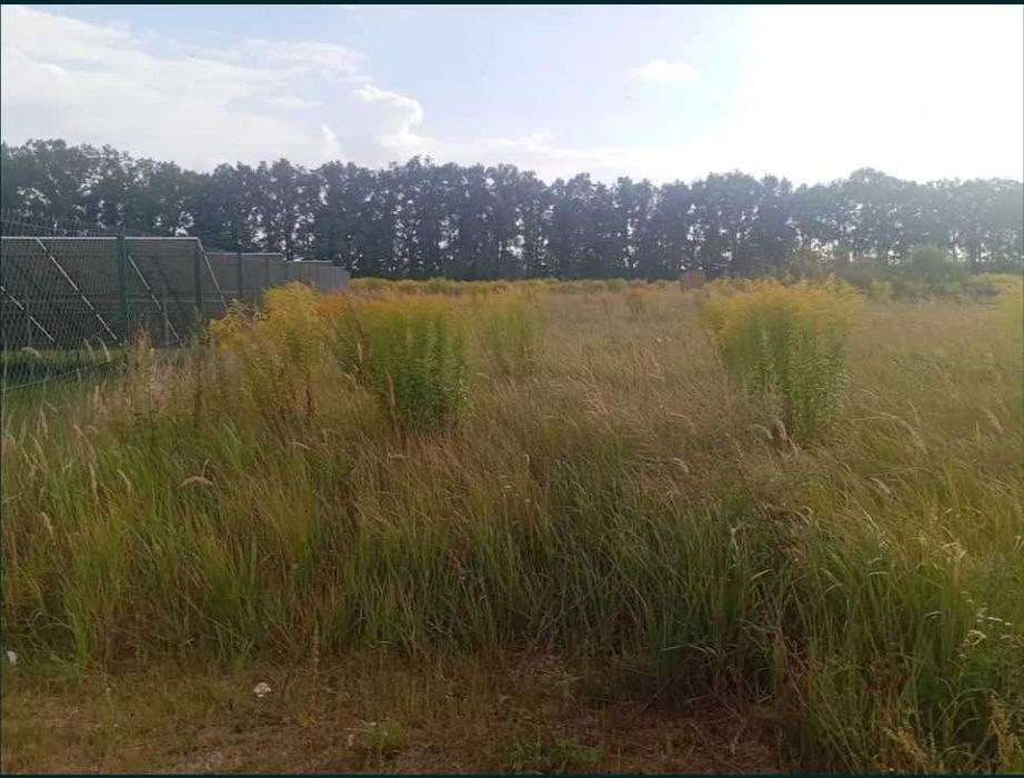 Продаж ділянки в с.Геронимівка