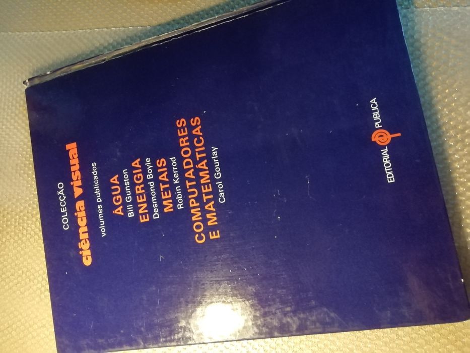 Livro computadores e matemática