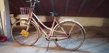 Bicicleta Pasteleira Senhora