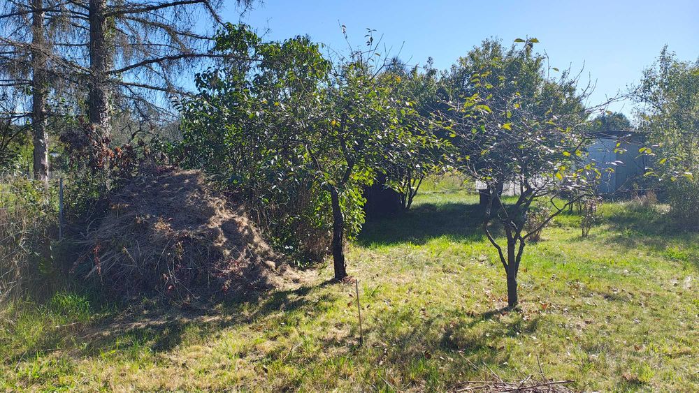 Działka ROD „Zielona Dolina” ul. Piechowicka