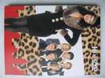 Pomoc domowa czyli Niania (Fran Drescher), 37 płyt DVD - 74 odcinki