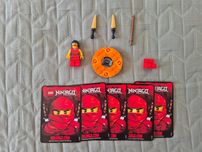 Lego NINJAGO 2172 Nya
