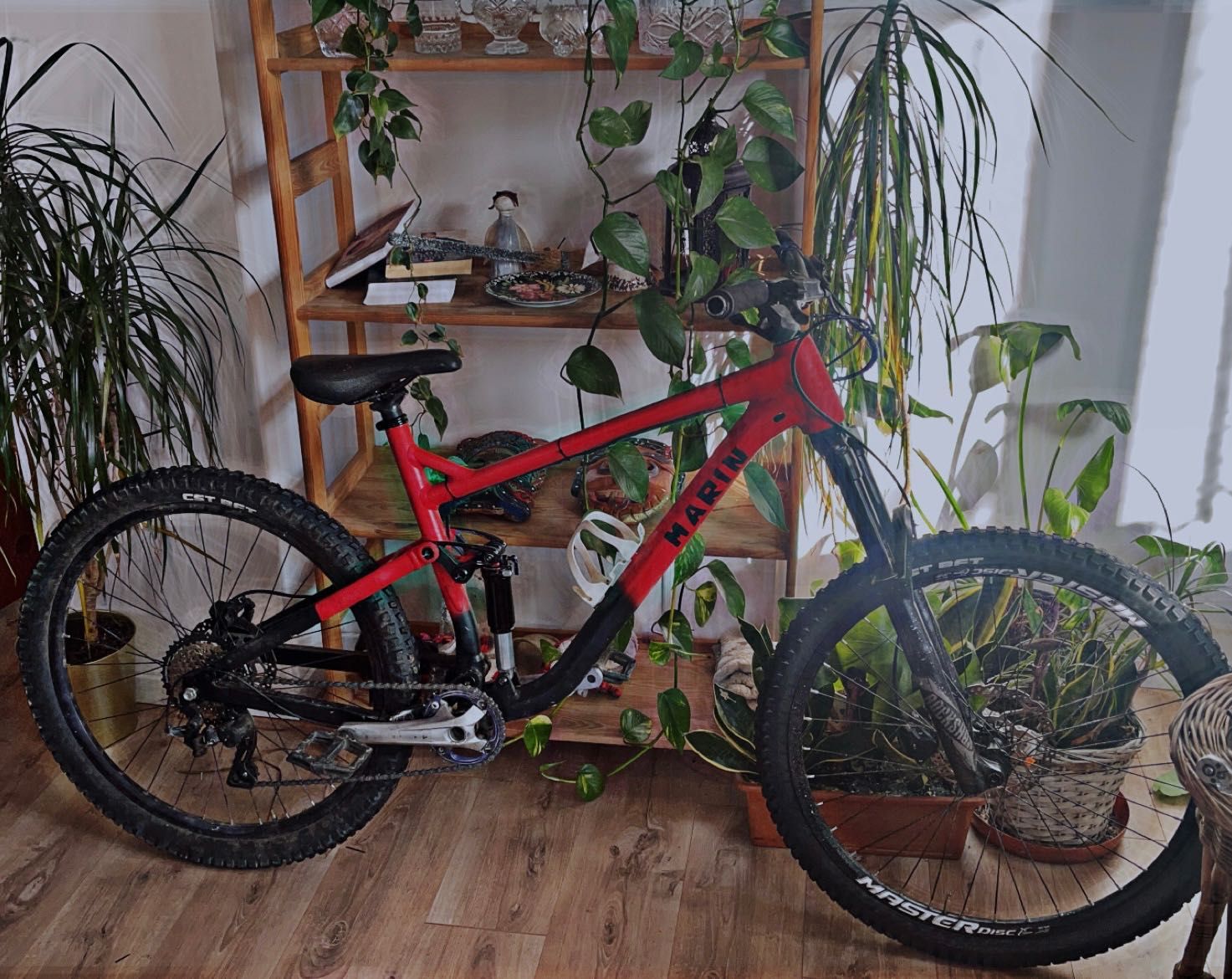 Marin rift zone 1
