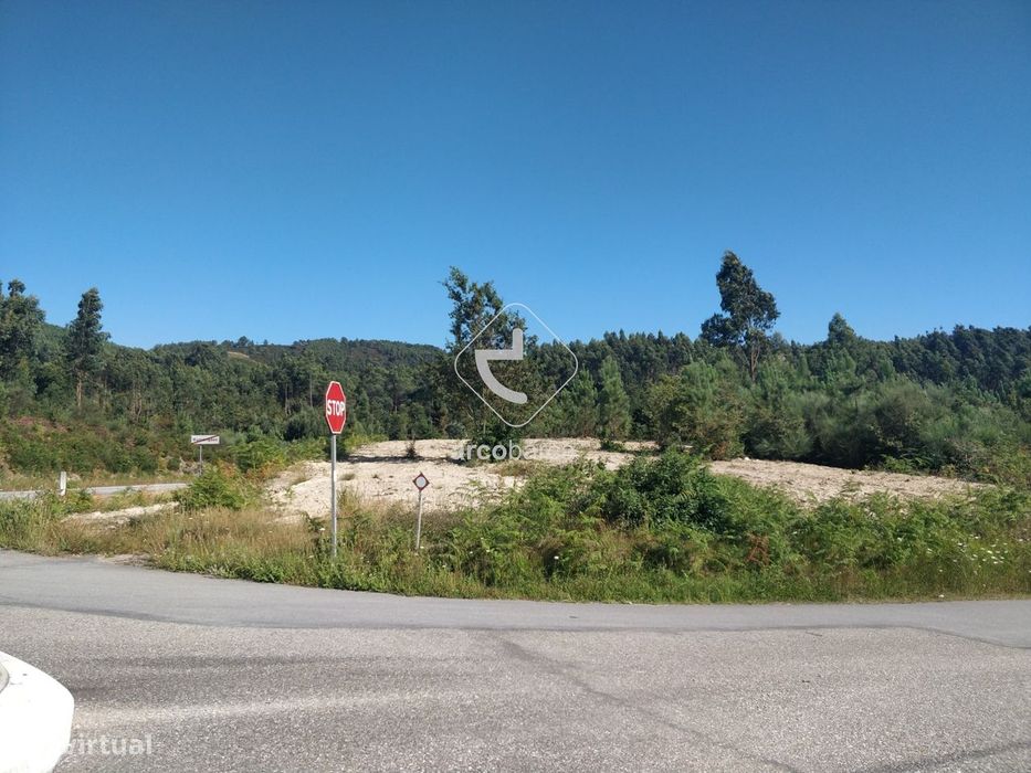 Terreno (Floresta de Produção) - Com total de cerca de 10.000m2. Romar