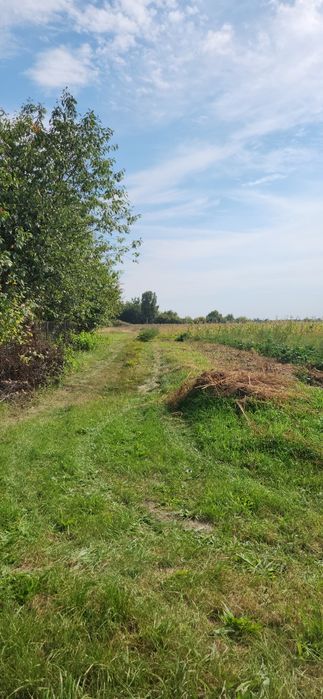 Продам ділянку с.Бишів 16 соток, власник