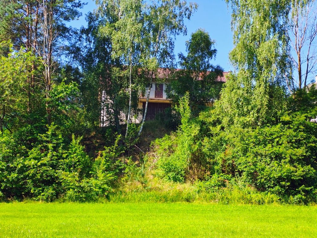 Pokoje na Kaszubach nad rzeką Zbrzyca Swornegacie
