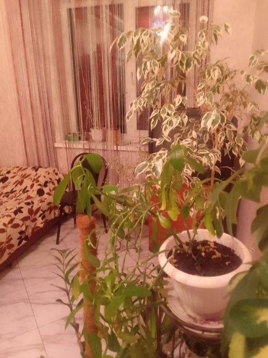Без посередників сдам кімнату для двох чи однієї людини на Озерній