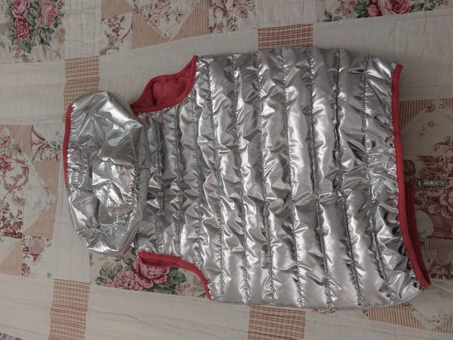 Bezrękawnik jesień