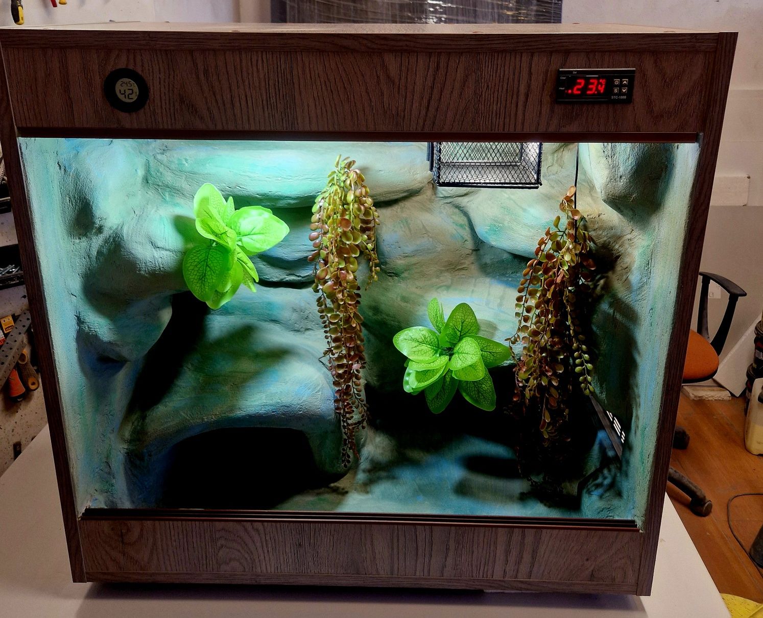 Dostępne terrarium dla węża gekona orzęsionego 75x40x70 gwarancja