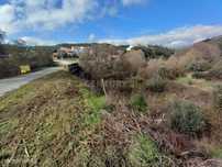 Terreno Rustico com 1450m2 Cerejeira-Alvito da Beira